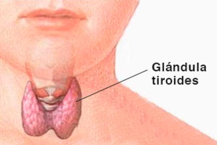 El ojo y las enfermedades de la tiroides