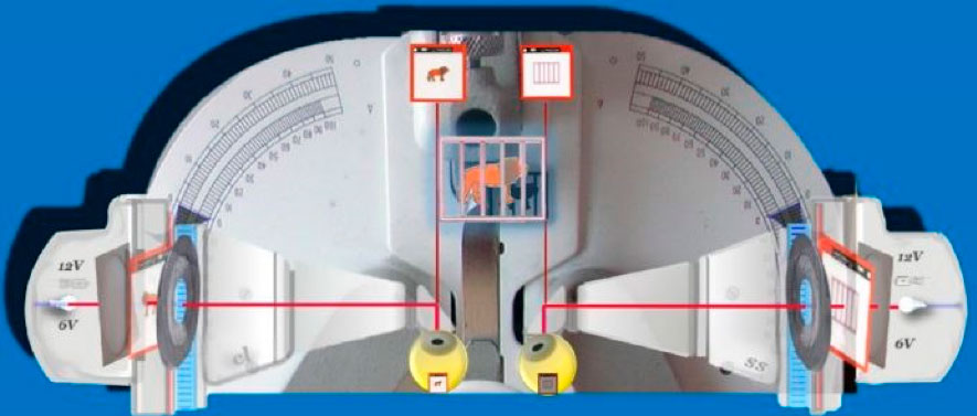 Esquema interno del sinoptóforo.